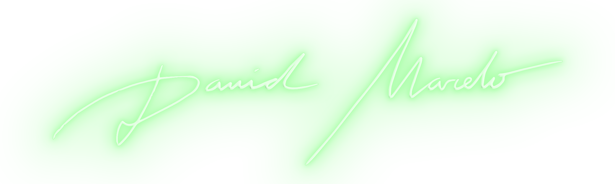 Firma Neon del artista David Marcelo